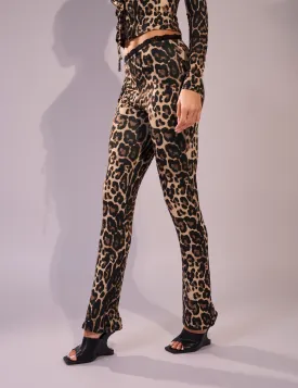 Lace Trim Straight Leg Pants Leopard