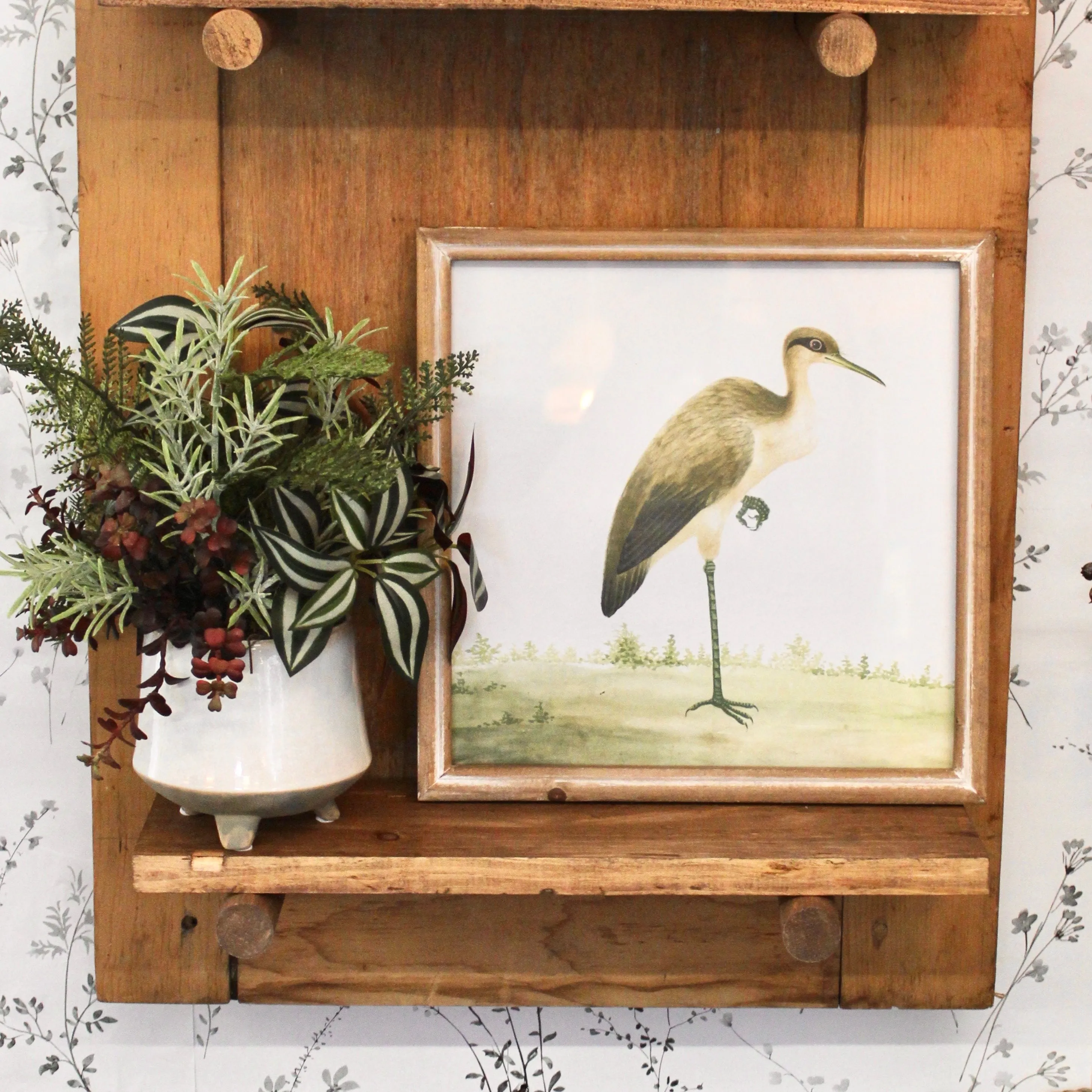 Square Framed Bird Prints