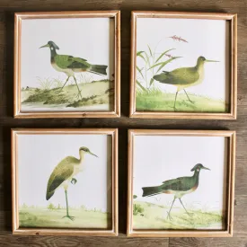 Square Framed Bird Prints